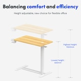 Multi-functional Adjustable Side Table H3 | FlexiSpot